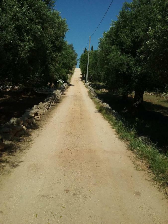 מלון אוסטוני Trullo Vista מראה חיצוני תמונה
